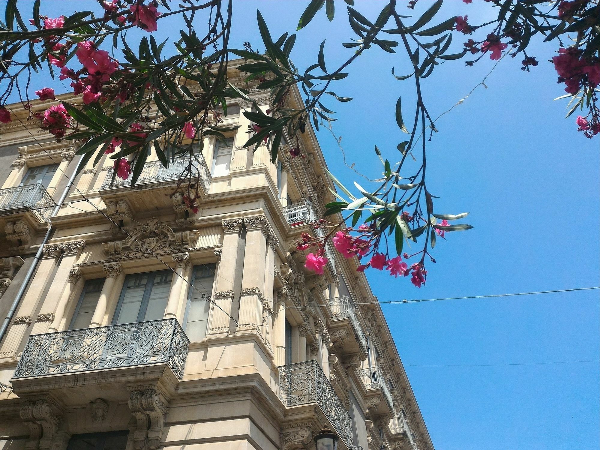 Maison d'hôtes Perla